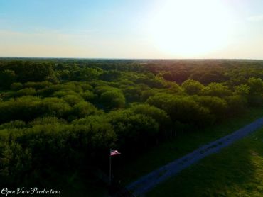 Sunset over a dense green forest with an American flag on a pole.