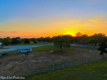 Sunset over a fenced pasture with horses and a tree.