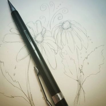 pencil sketch of daisy flowers