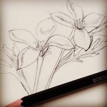 pencil sketch of flowers