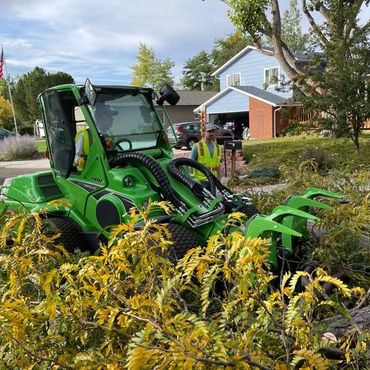two men working to remove a tree from a yard with heavy equiptment.