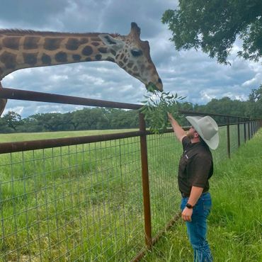 A man in a cowboy hat feeding a giraffe over a fence.