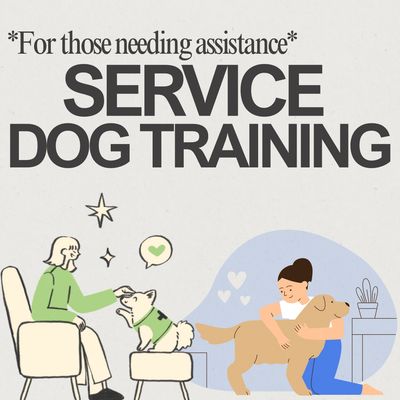 Service dog training for those needing assistance, featuring caring interactions.