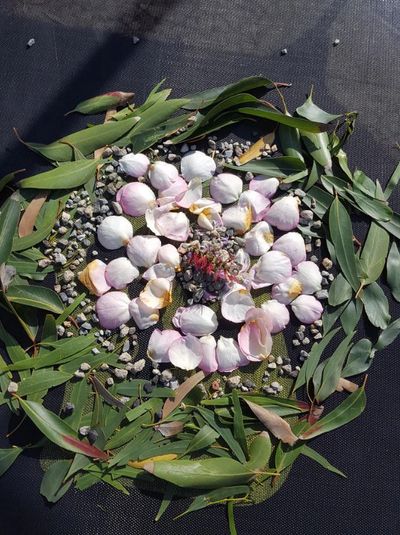 Nature objects arranged on a trampoline and photographed from birds eye view
