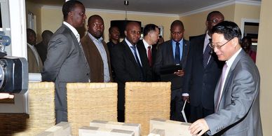 Li Young DG UNIDO Zero Carbon Designs ZCD Eckardt M.P. Dauck Strawtec