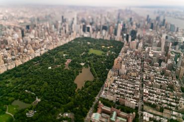 Tilt-shift lens while hanging out of a helicopter over Central Park.