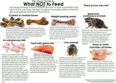 Dog food to not feed.