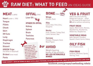 Raw diet guide.