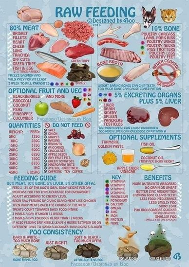 Dog food info chart.