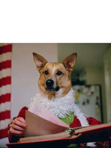 Dog reading recipe book.