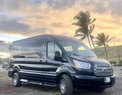 Black van parked near palm trees at sunset.