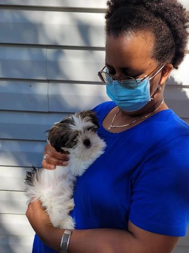 Heidi finally meeting her new owner and going home