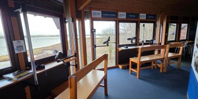 Birdwatching hide with benches and telescopes overlooking a lake.