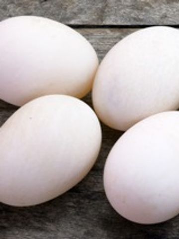 Duck Eggs