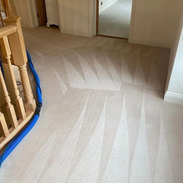 Post-clean stripes on beige landing carpet from our professional hot-water extraction process