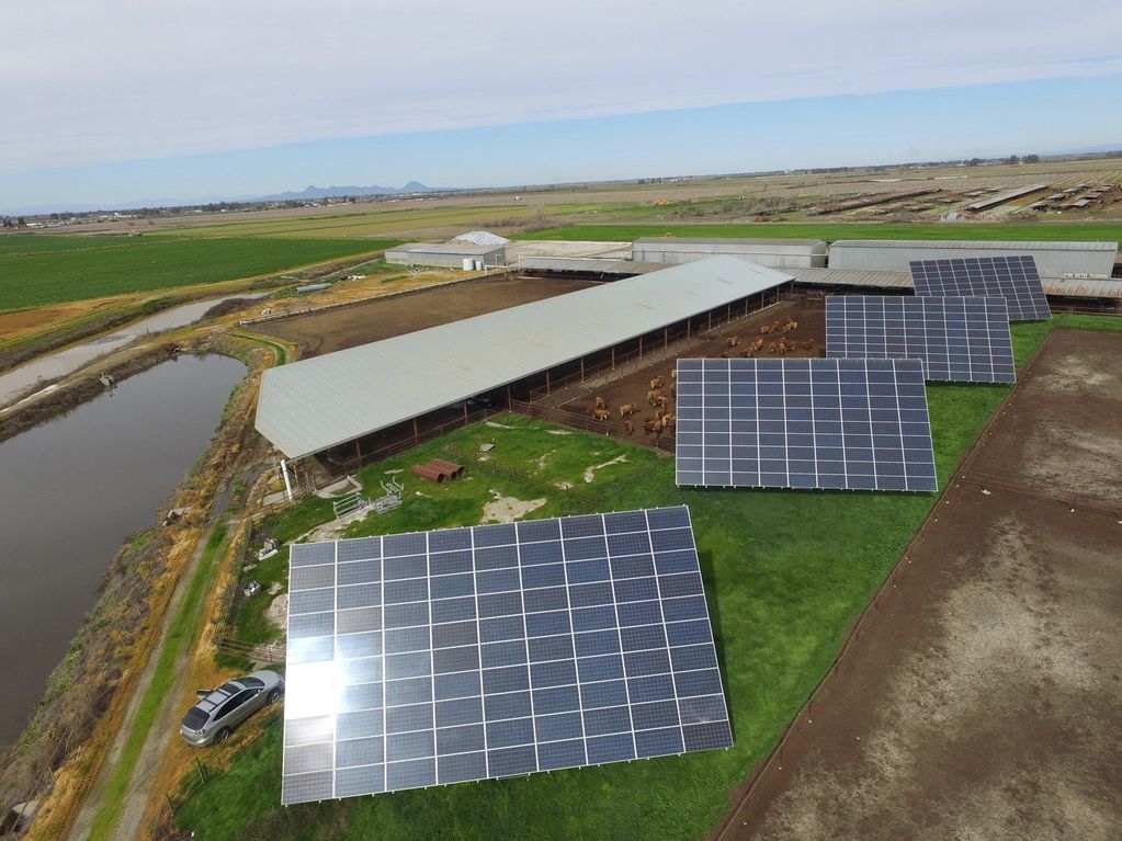 Four 90 panel solar tracker arrays in farm setting. Cattle and barn are visible behind the arrays.