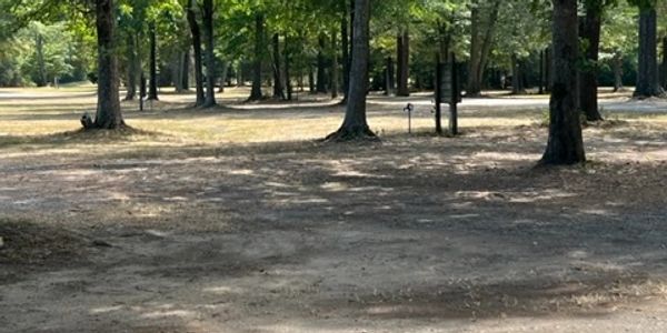 Serene camping sites.