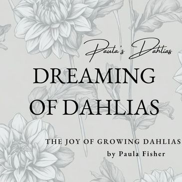 Dreaming of Dahlias book by Paula Fisher about the joy of growing dahlias.