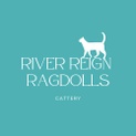 River Reign Ragdolls