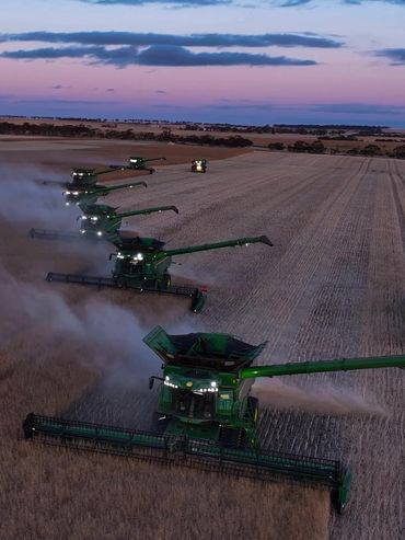 Multiple green combines harvesting crops in a field at dusk.
