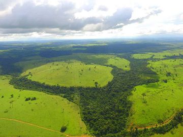 ADEQUAÇÃO RURAL PELOTAS