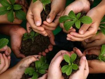 EDUCAÇÃO AMBIENTAL PELOTAS