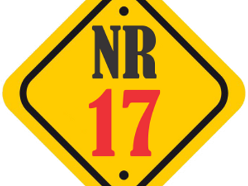 TREINAMENTO NR17 PELOTAS