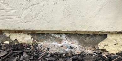 Peeling paint on a textured wall above a bed of dark wood chips.