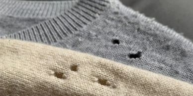 Two sweaters with small holes near the collar area.