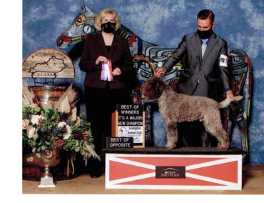 Sire: Ch Raphael BCAT