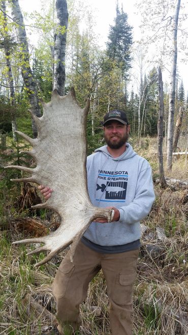 finding moose sheds, antler shed hunting, Joe Shead, shed hunting tips, how to find antler sheds