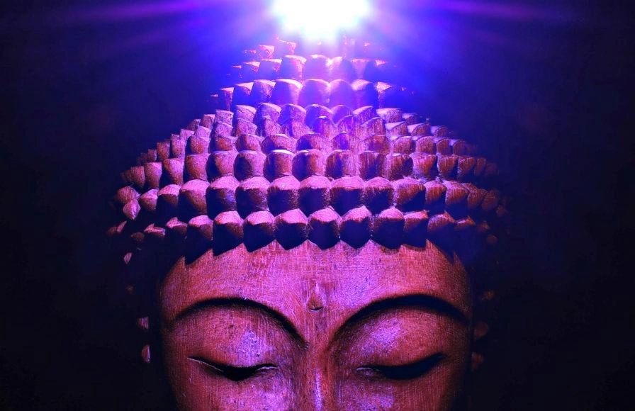 The Purple Chakra The Purple Chakra