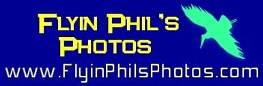 Flyin Phil's Photos