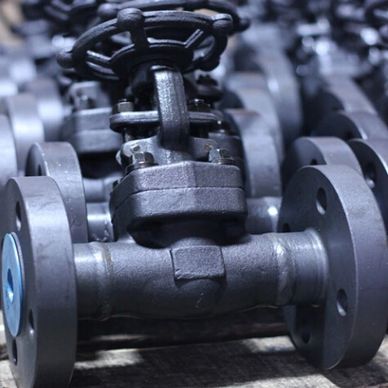 FLANGED END FORGED STEEL VALVE