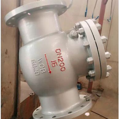 DIN SWING CHECK VALVE