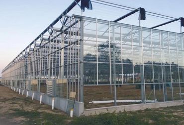 Glass greenhouse manufacturer