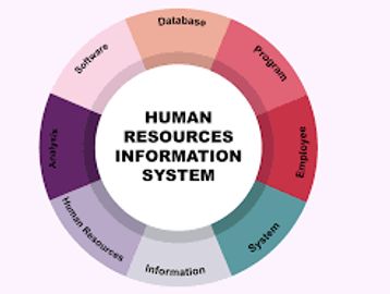 HRIS Software Services