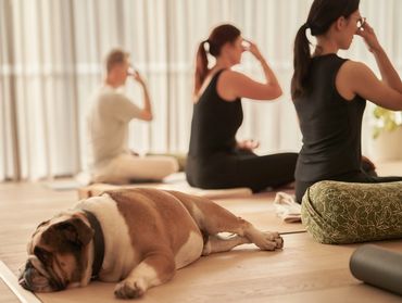 Sound Healing Canberra Flow Yoga Ayurveda Cooking Holistic Hatha Yoga Mandala Studio Yoga Lyneham