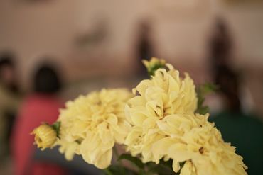 Flow Yoga Canberra Ayurveda Lynheam Mandala Studio Hatha Vinyasa Yin Yoga Holistic Health Canberra