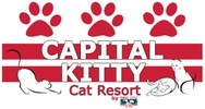 Capital Kitty Cat Resort