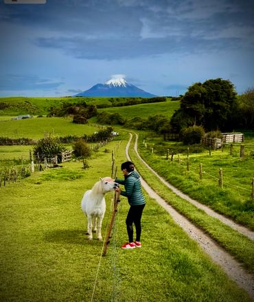 Old Eltham Post Office Luxury Accommodation Taranaki NZ
