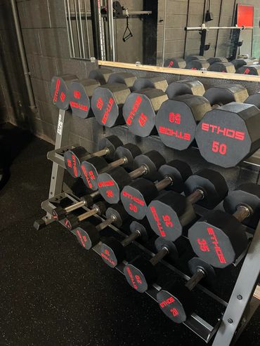 personal trainer, bodybuilding, meal plan, weight loss, muscle gain, winter haven, bartow, gym class