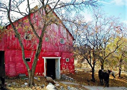 Original Ritter Ranch Winery and hay barn