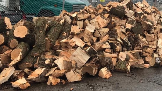Toronto Tree Removal Inc. provides all types of firewood.