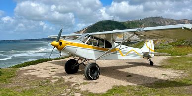 Small yellow and white plane on grassy cliff by ocean.