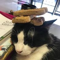 Purrrrfessional Greater