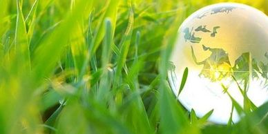 Green Grass