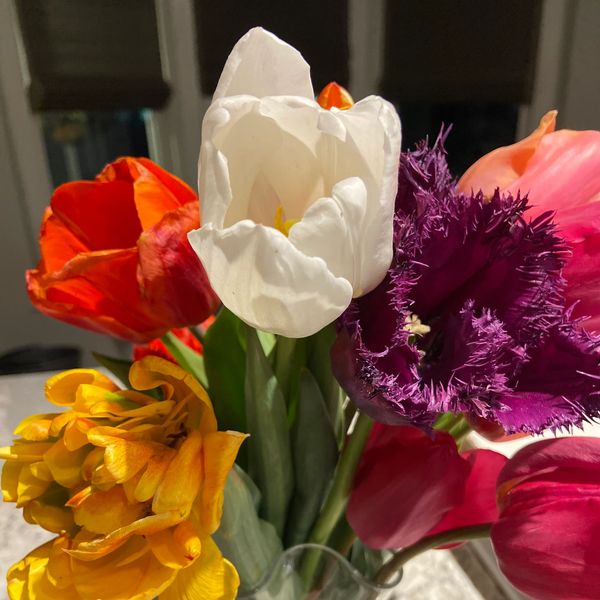 Colorful bouquet of tulips including white, purple, orange, and yellow flowers.