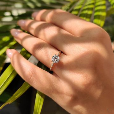 A hand with a sparkling diamond ring in sunlight and shadows of leaves.