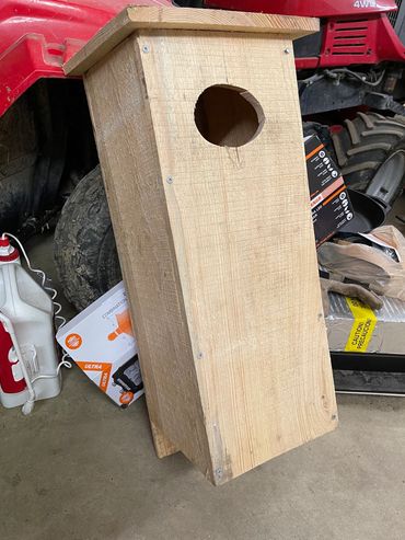 The first wood duck nest box on the #50HouseProject